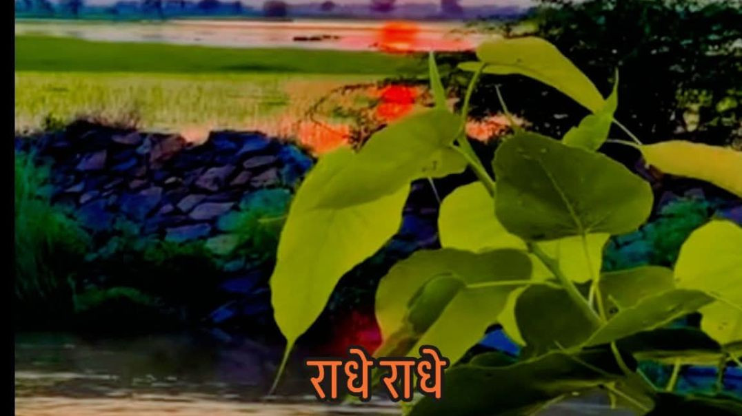 crafto_video_1766112133183