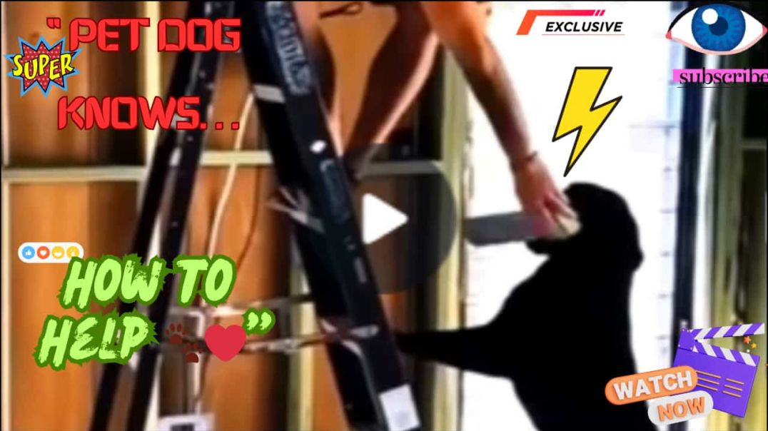 ⁣“When Your Pet Is Smarter Than Most Humans 🐶🔧💛” Look at him HELP!