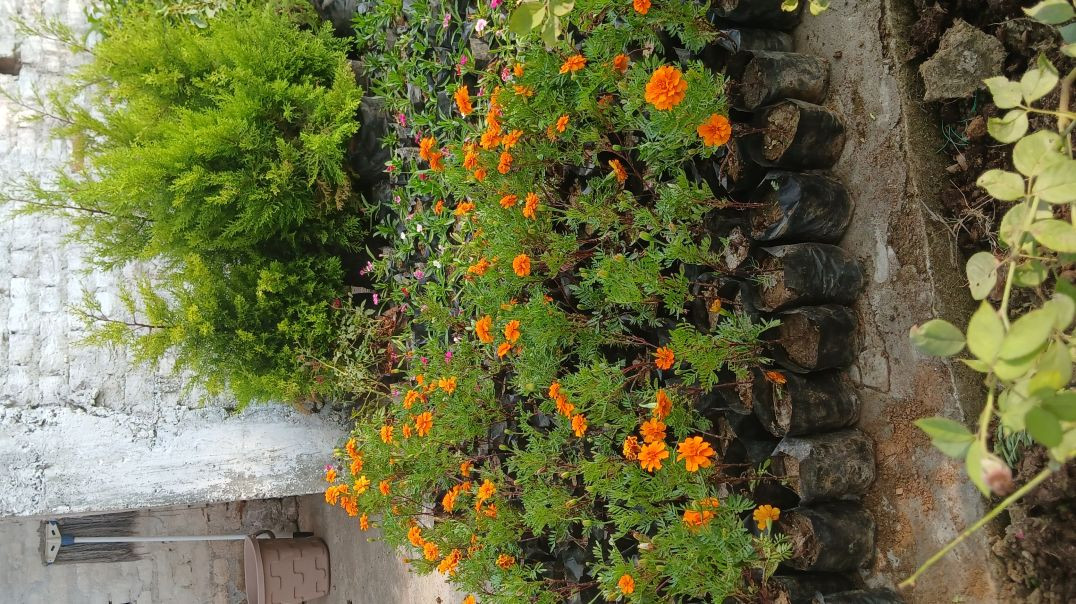 VID_20251130_073404_185