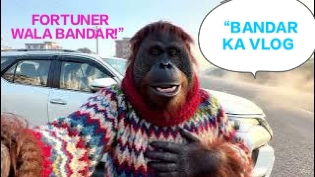 ⁣इंसान जैसा बंदर 😲 Fortuner के साथ | Winter Morning Vlog | Viral Monkey Vlog