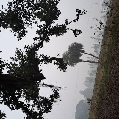 103105431231602769715 