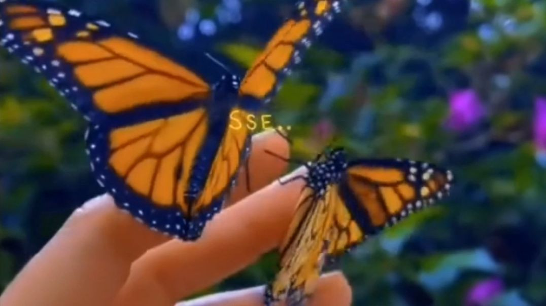 ⁣🥰Tag your love 🥰