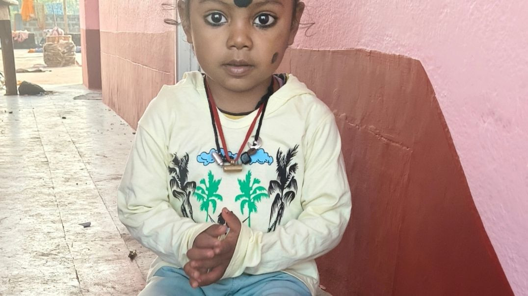 ⁣Cat Videos 😺😺😺