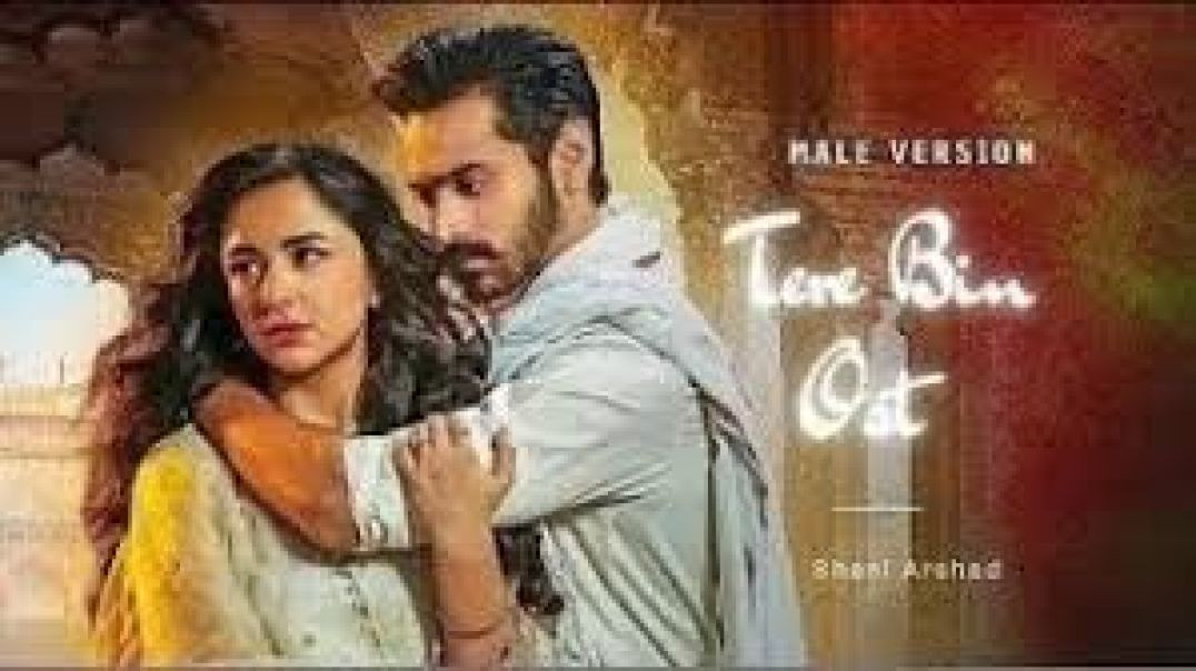 ⁣Tere Bin | OST | ft. Yumna Zaidi, Wahaj Ali | Shani Arshad | #Har Pal Geo | 7th Sky Entertainment