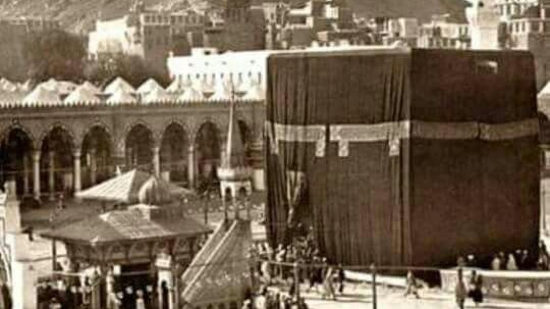 InShot_20251207_211410046