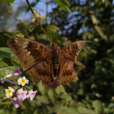 RahulTech knowledge.