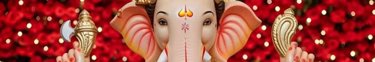 Sagar31d416871