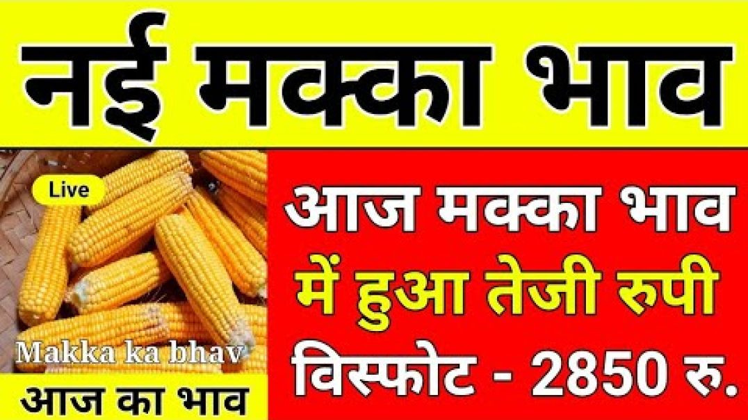 lv_0_20251213190320~2