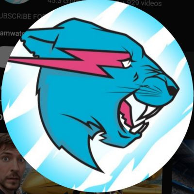 Mr. Beast