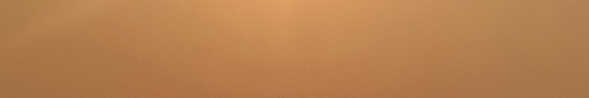 106229090424755446282 