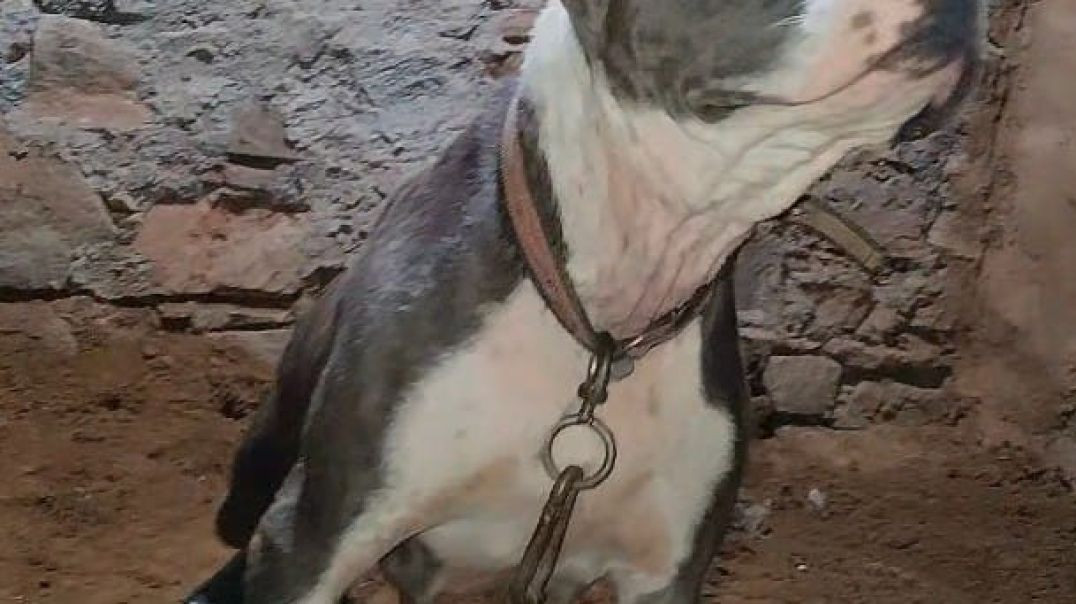 ⁣VID-20251208-WA0003