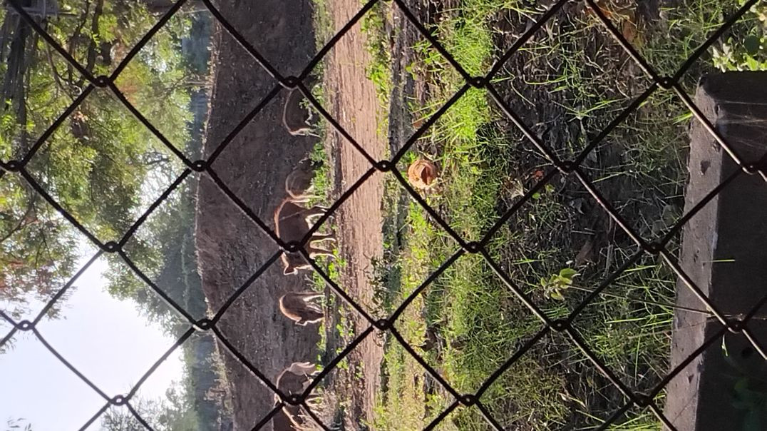 ⁣this is my 1st mini vlog