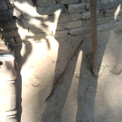 112086130738224769624