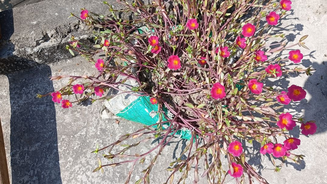 ⁣Record_2025-11-21-17-15-21_c28519d624689b8d548e2809af584b0c