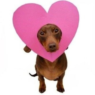 103780469219389209147