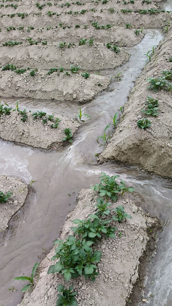 FB_VID_7460451595332038715