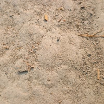 114103854040906958647