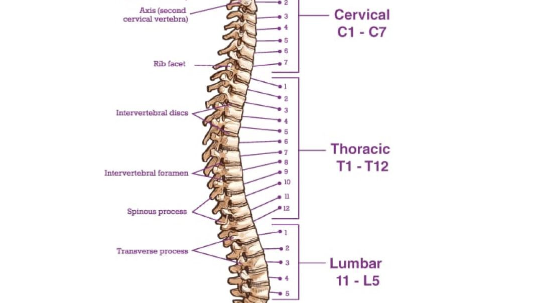 6PYdpNyDxXS7o4Wr1ggEuN4yB0VkvJIjZg4l