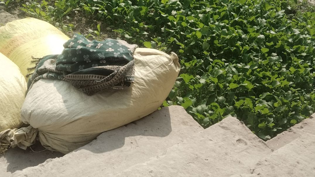 instagram_1763184333010(720p)