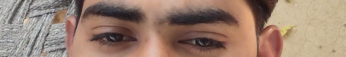 100629245304489666586 