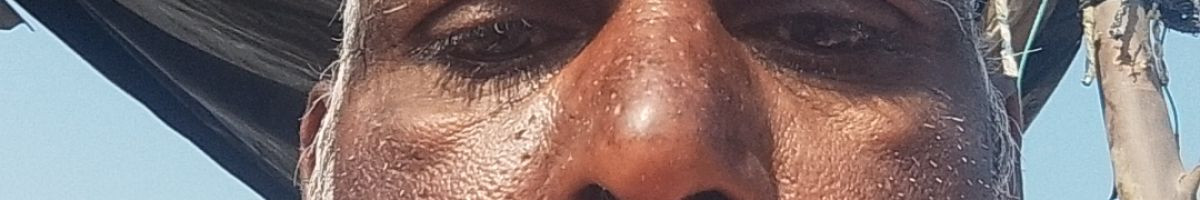 117247120482579918975 