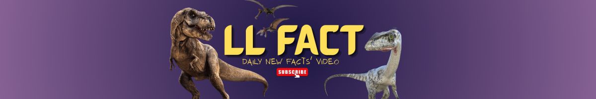 llfact2