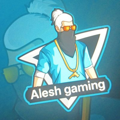 Alesh gaming05
