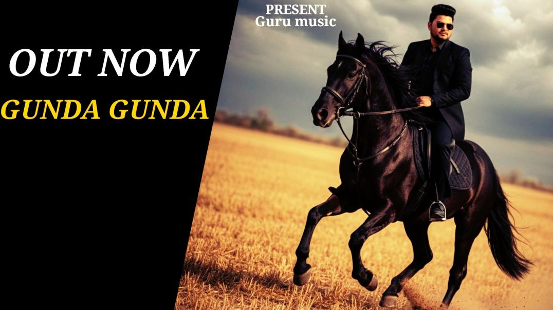 ⁣Audio( Gunda Gunda) SUNIL TYAGI||MR.RAHUL || SUNNY RATHORE