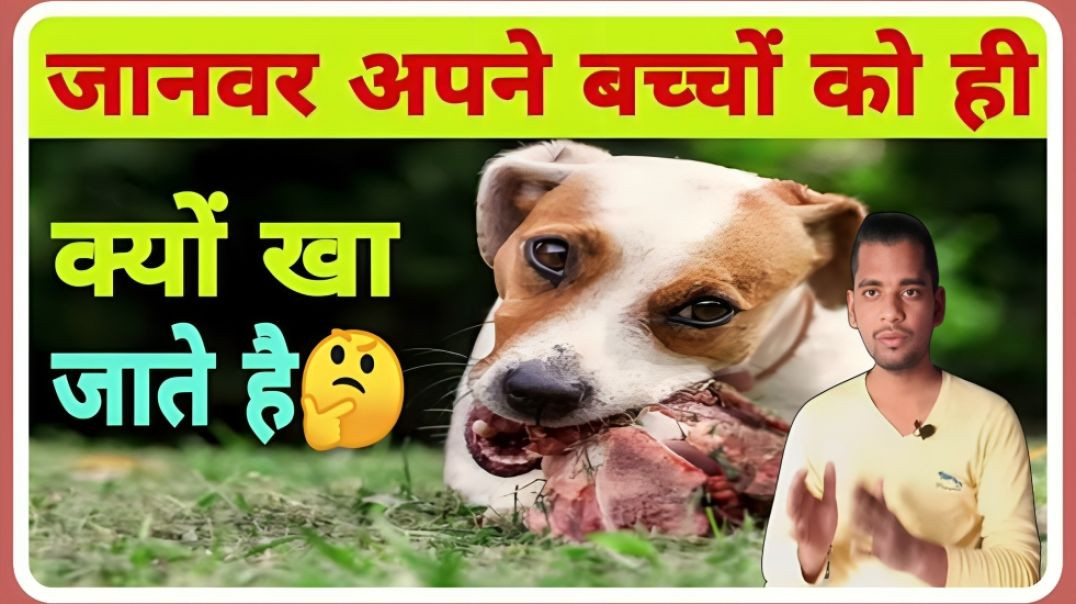 ⁣Why animals eat own children || Dog aur Cat apne hi bachcho ko kyo kha jate hai || AC Prashant