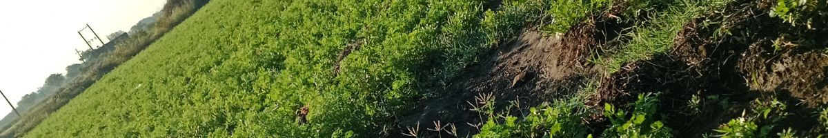 101519099500781417143 