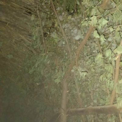 shortsmix132 shortsmix132