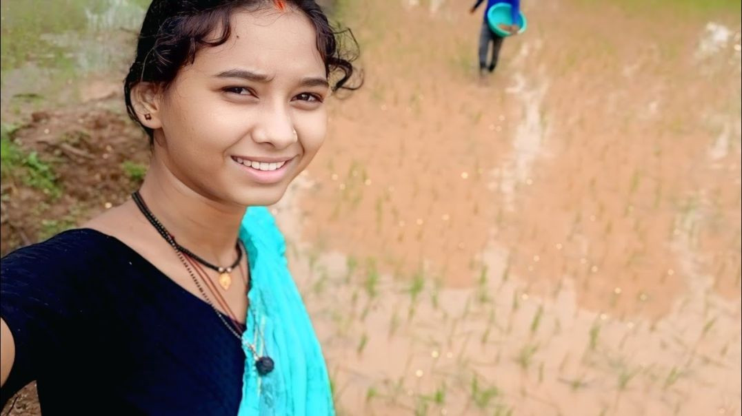 आज_खेत_घूमे_आय_हव_🌾🌾_Rekha_Shrawan_Rs_💞💞_Cg_Reels_vlog_💞_Trend_Reels_🎉_Shorts_💞#reels_#funny_#cg(360