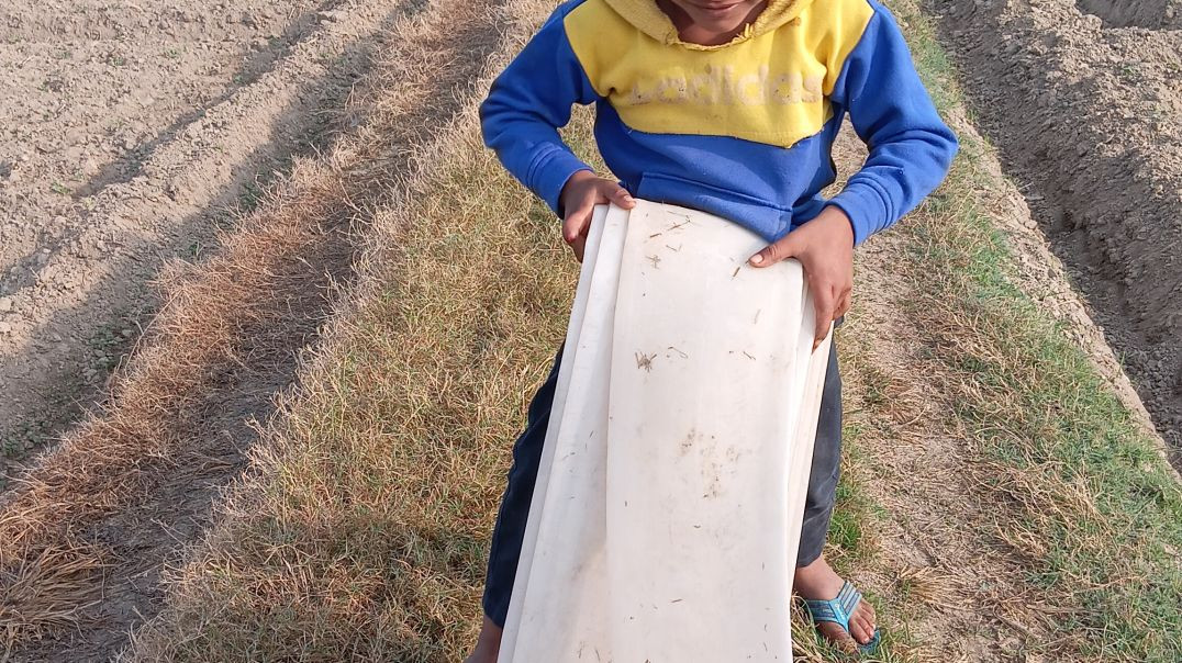 ⁣Boys working village life