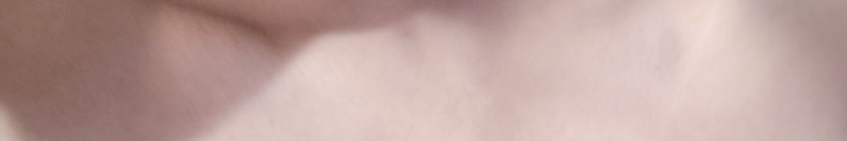 100799464188894692087 