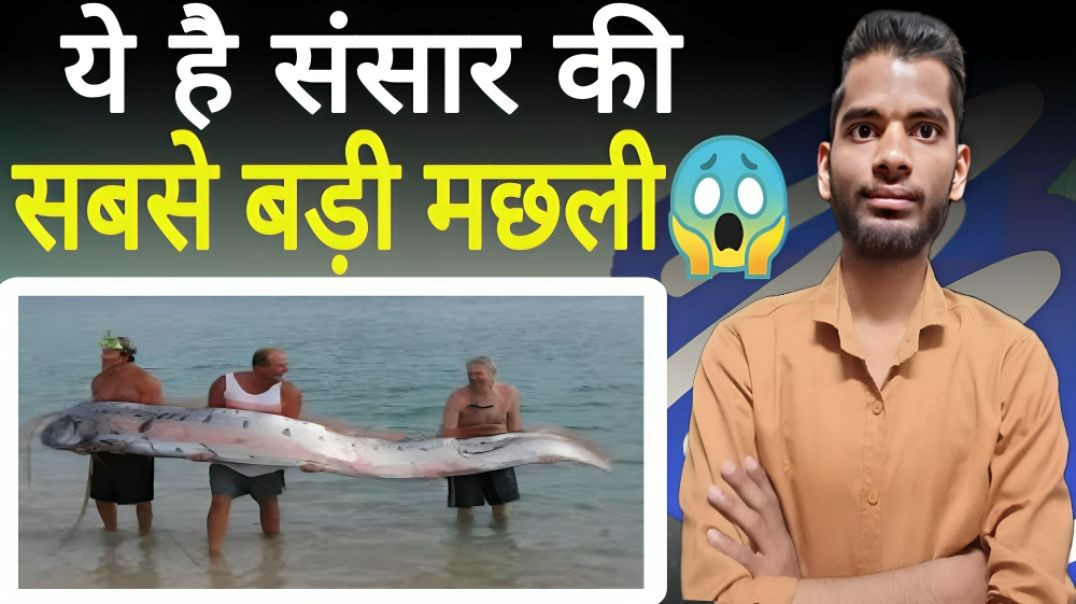 ⁣दुनिया की सबसे बड़ी मछली | World | Biggest | Fish | AC Prashant