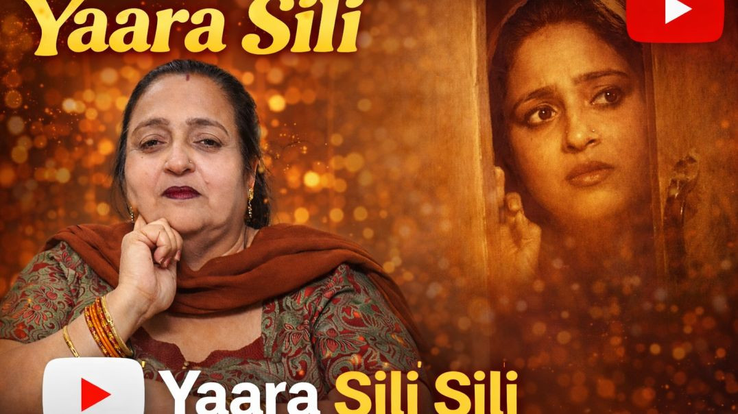 InShot_20251229_205311000