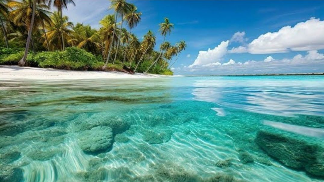 ⁣Peace Within Us_ Soul Relaxing Music And Rain Sound, Reduce Stress, Anxiety,