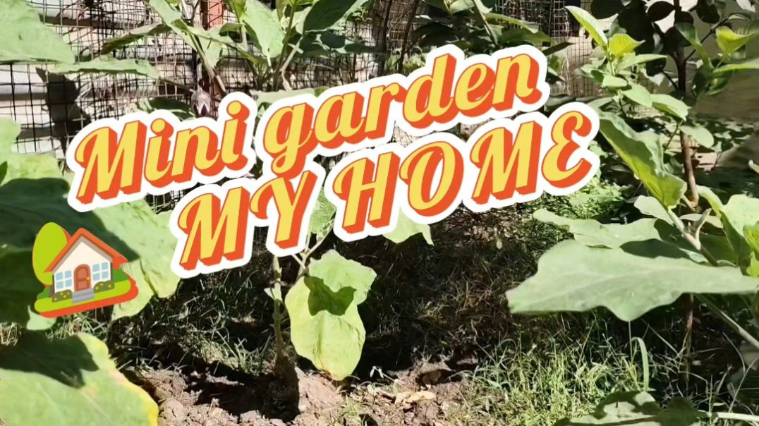 ⁣Mini garden 🏡 MY HOME #minivlog