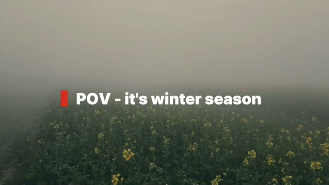 Ins_chintyaa__08_20251219_08_05_22_1766111724118