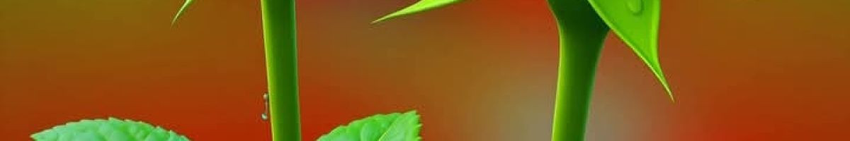 106672305132076473474 