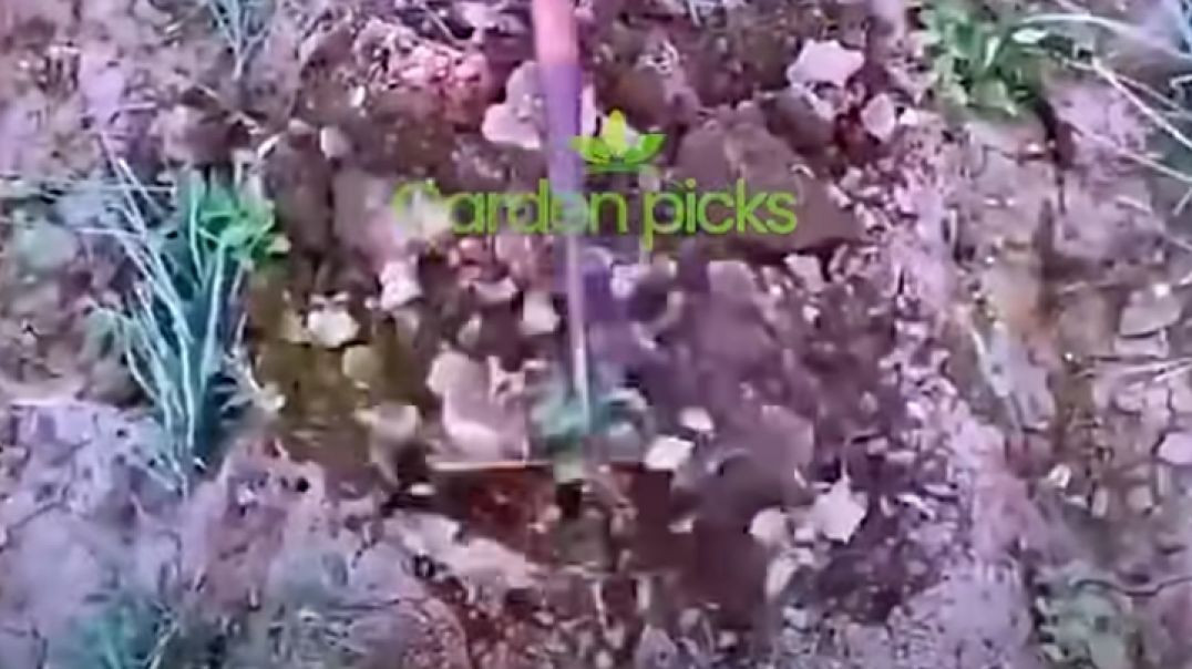 ⁣World ka sabse bada feku