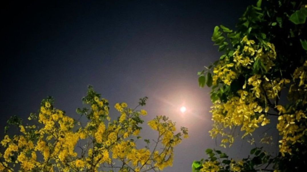 ⁣Jab log kehte hai Apnatube per video dalne se kya milta hai tab