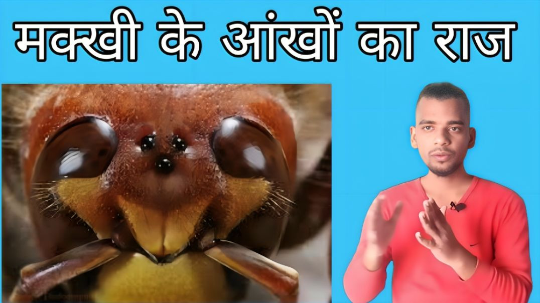 ⁣Makkhiya time ko slow kar dekhti hai......makkhi power ||  ac prashant