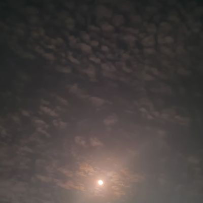 101023705150969531766