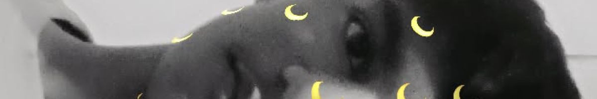 sknazimalam7 sknazimalam7