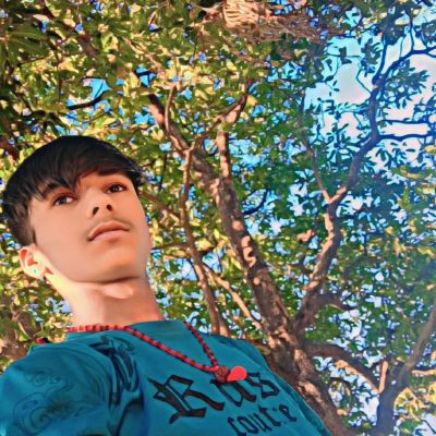 100384397696756931491 