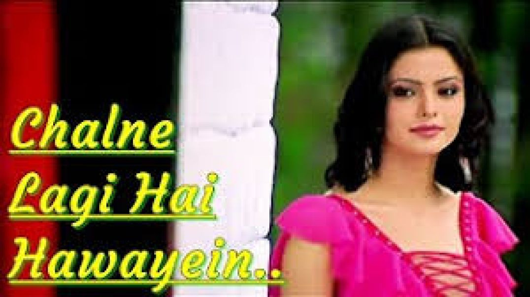 ⁣Chalne Lagi Hai Hawayein Video Song _Tere Bina_ Abhijeet Super Hit Hindi music beets
