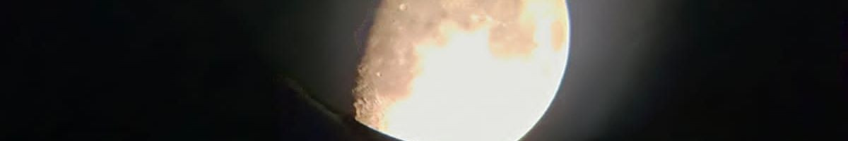 lovechauhan lovechauhan