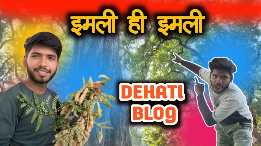 ⁣इमली का पेड़ #imli ka ped aur imli // इमली पेड़ पर कैसे लगती है //#Ramsingh_rana_blog