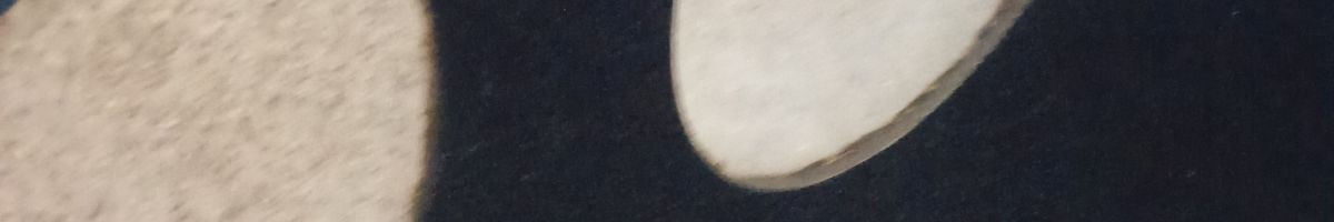 115537166302183680215 